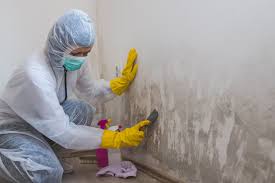 Best Post-Construction Mold Inspection  in USA